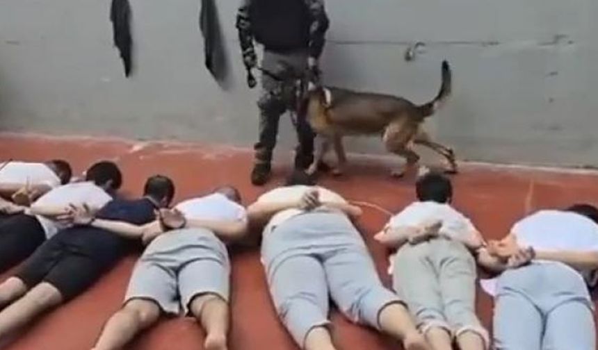 Esirler Kulübü: İşgal zindanlarında cinsel şiddet hakkında uluslararası uyarılar var