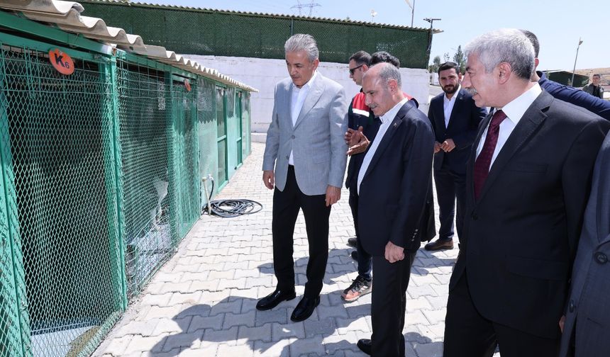 İçişleri Bakan Yardımcısı Aktaş Mardin’de incelemelerde bulundu 