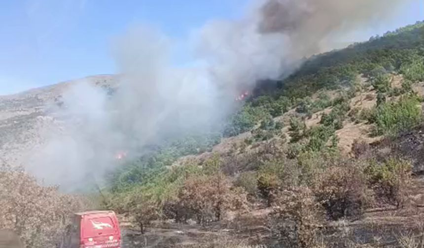 Malatya'daki orman yangını söndürüldü