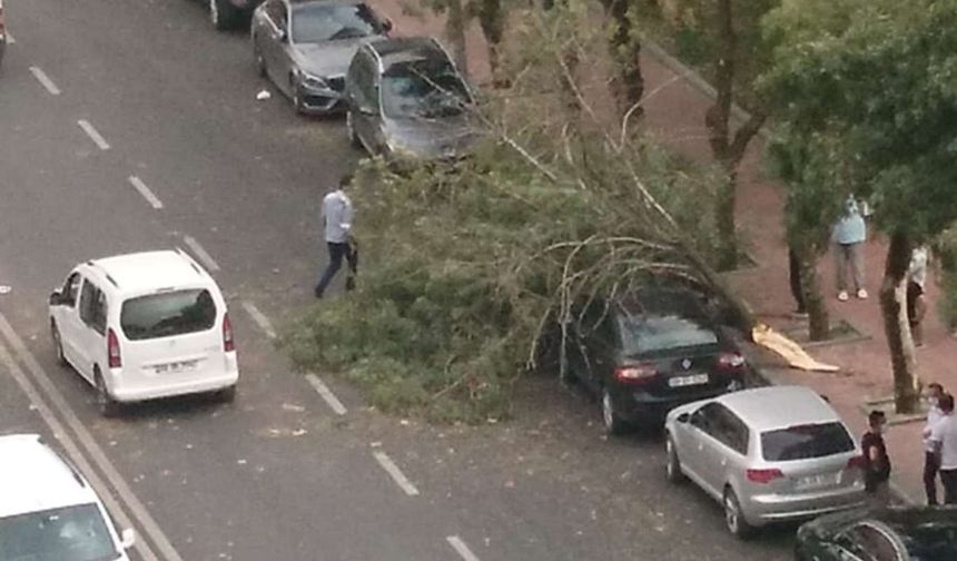 Meteoroloji'den kuvvetli rüzgâr uyarısı