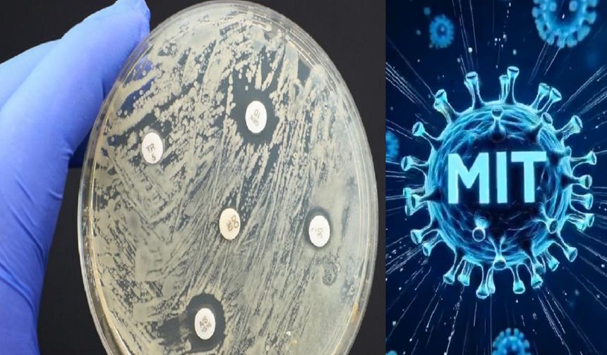 MIT’den yapay zekâ destekli yeni antibiyotikler