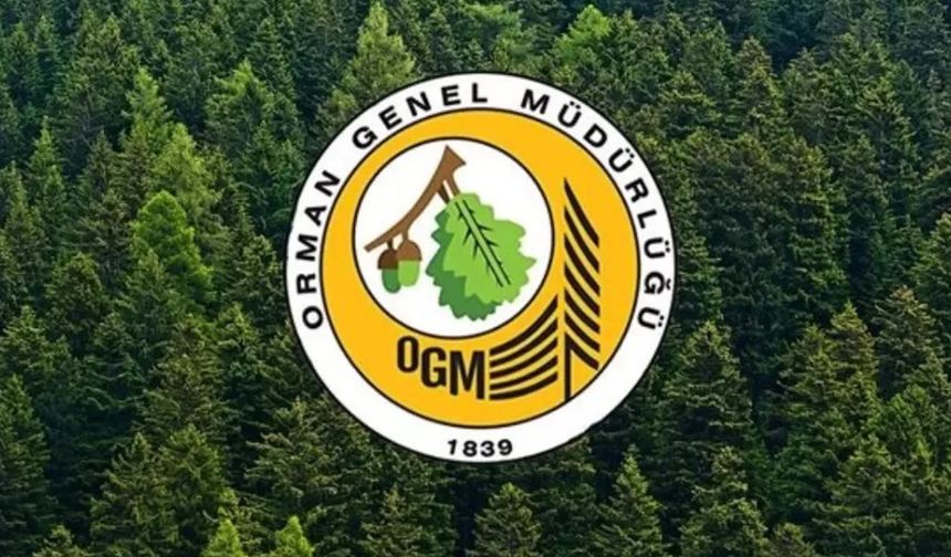 OGM’den hava araçları ve yanan orman alanlarıyla ilgili açıklama