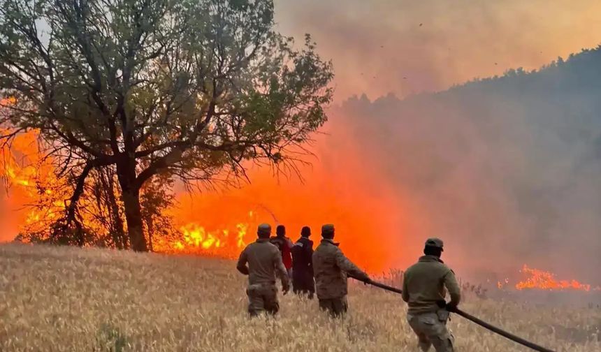 Orman yangınına giden arazöz kaza yaptı: Bir orman işçisi hayatını kaybetti