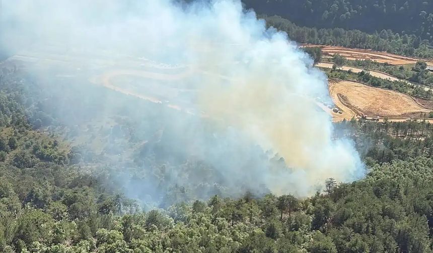 Osmaniye'de orman yangını: Havadan ve karadan müdahale ediliyor