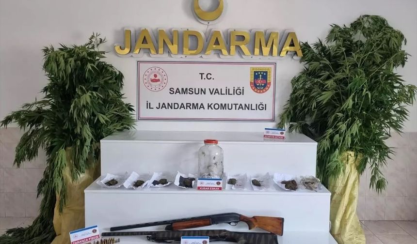 Samsun'da uyuşturucu operasyonu: 1 gözaltı