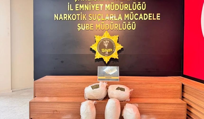 Şanlıurfa'da 7.5 kilogram skunk ele geçirildi: 1 tutuklama