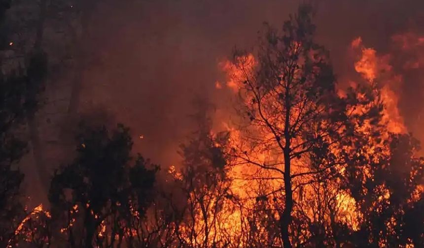 Muğla’da 2 ilçede çıkan orman yangınlarına müdahale ediliyor