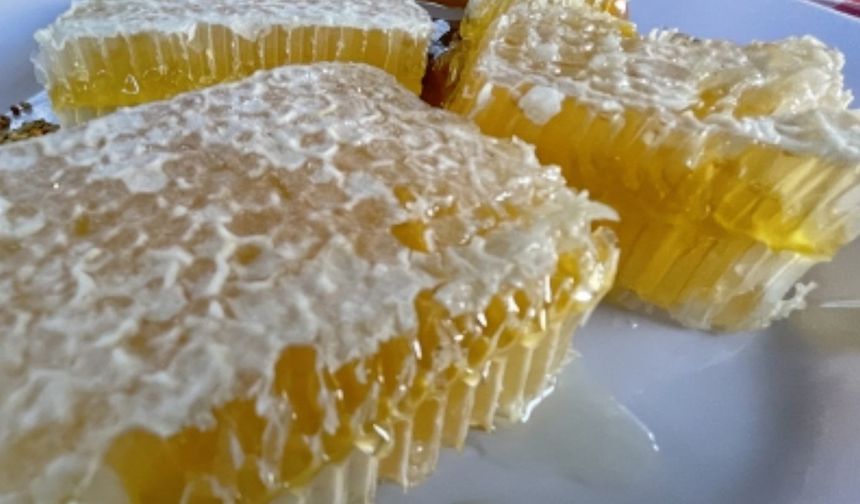 Yenice ıhlamur balı AB'den coğrafi işaret tescili aldı