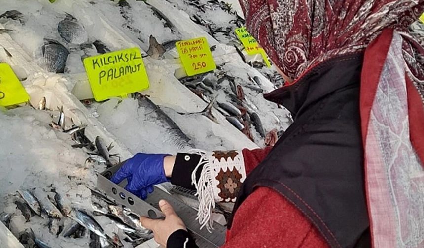 Şanlıurfa’da balık tezgâhları denetlendi