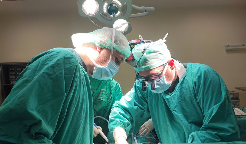 TÖTM'den bir dünya başarısı daha: 11 ayda 149'u çapraz 308 karaciğer nakli gerçekleştirildi