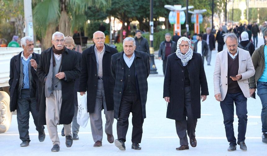 İNOSAM Başkanı Gürkan Avcı: Emekliler cezalandırılıyor