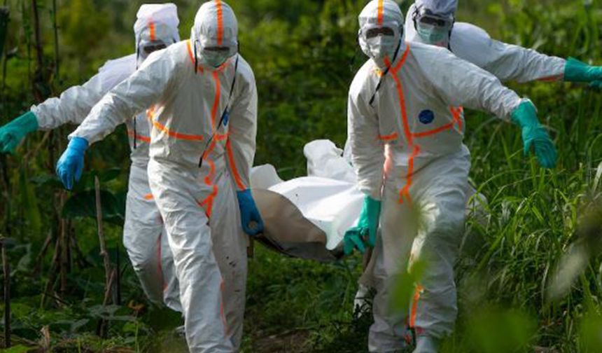 Nijerya’da Lassa ateşi kaynaklı can kaybı 17’ye yükseldi