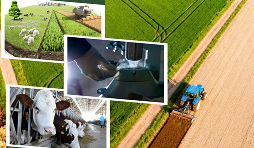 Tarımsal destek ödemeleri hesaplara yatıyor